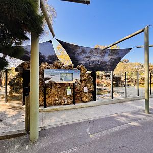 Australian sea lion enclosure