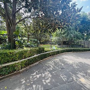 Maned wolf enclosure