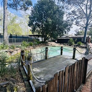 Little Penguin enclosure