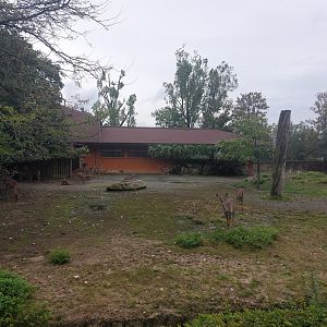 Lesser kudu enclosure