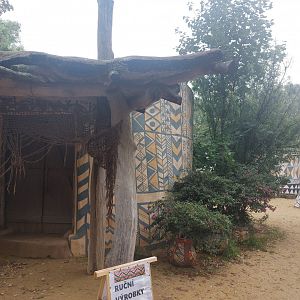 Hut with springhare & galago exhibit