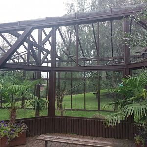 Angolan colobus outdoor cage