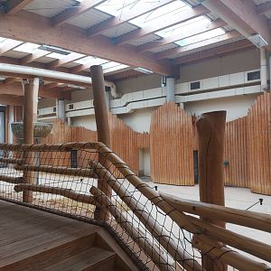 Reticulated giraffe indoor hall