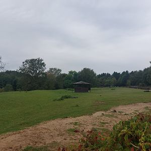 Somali wild ass & scimitar-horned oryx exhibit
