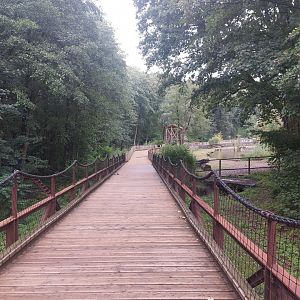 Pathway towards hippo exhibit