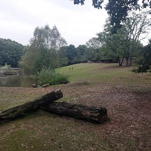 Common hippo exhibit