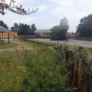 Black rhino exhibit & Rotschildt's giraffe exhibit