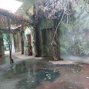 Okapi on-show indoor exhibit