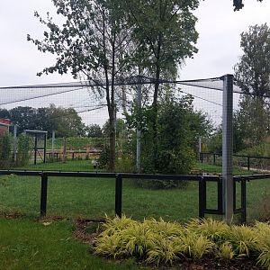 Secretary bird & ground hornbill aviary