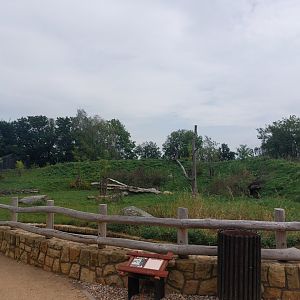 Spotted hyena exhibit