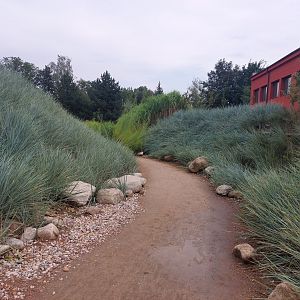 Pathway towards penguins