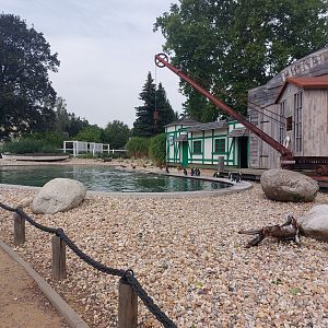 African penguin exhibit