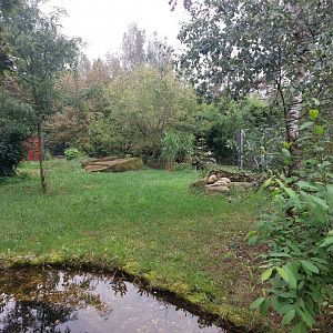 Southern aardwolf exhibit
