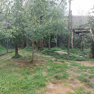 Honey badger & Persian leopard exhibit