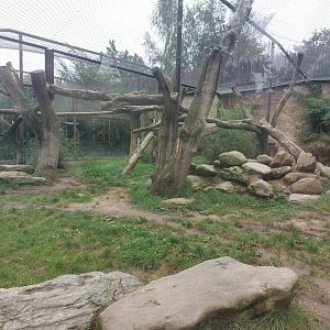 Persian leopard exhibit
