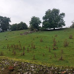 Blesbok & nile lechwe exhibit