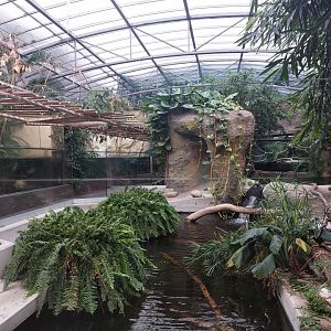 Reptile house - Crocodile hall