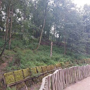 Barbary sheep exhibit