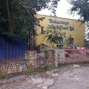 Cape porcupine exhibit