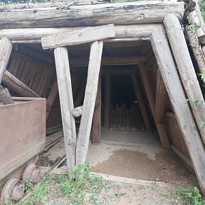Cape porcupine shelter