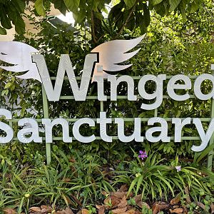 Winged Sanctuary - 40+ aviaries