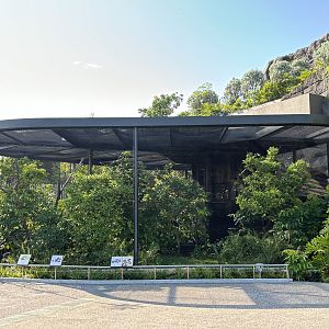 Wrinkled Hornbill + Vietnam Pheasant