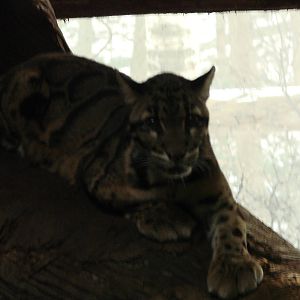 Toronto Zoo Visit - December 18th 2009