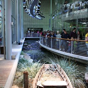 CAS Biosphere Photos- Tanagers, etc