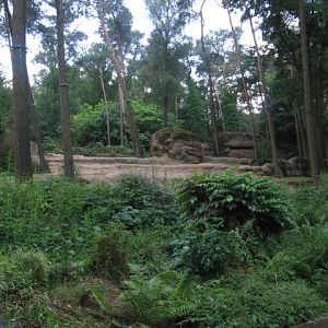 Elephant enclosure
