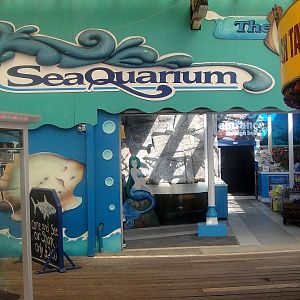 SeaQuarium Clacton Pier