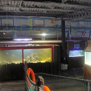 SeaQuarium Clacton Pier