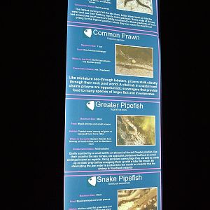 Labelling example at Blue Reef Bristol 19/12/09