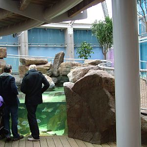 Landscaped area at Blue Reef Bristol 19/12/09