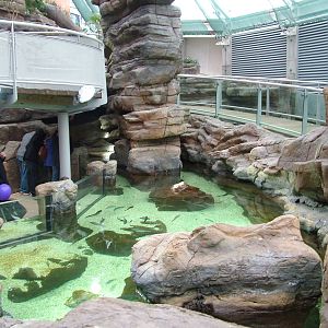 Landscaped area at Blue Reef Bristol 19/12/09