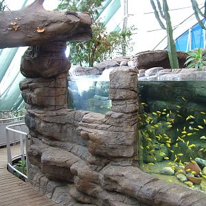 Landscaped area at Blue Reef Bristol 19/12/09