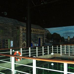 Overlooking the native marine display at Blue Reef Bristol 19/12/09