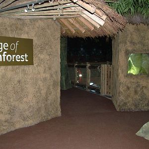Edge of Rainforest area at Blue Reef Bristol 19/12/09