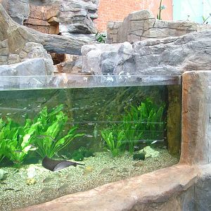 Landscaped area at Blue Reef Bristol 19/12/09