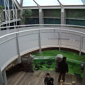 Landscaped area at Blue Reef Bristol 19/12/09