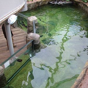 Landscaped area at Blue Reef Bristol 19/12/09