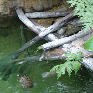 Landscaped area at Blue Reef Bristol 19/12/09