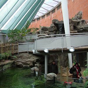 Landscaped area at Blue Reef Bristol 19/12/09