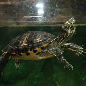 Landscaped area at Blue Reef Bristol 19/12/09