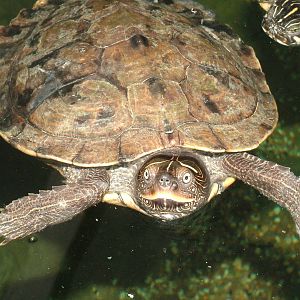 Landscaped area at Blue Reef Bristol 19/12/09