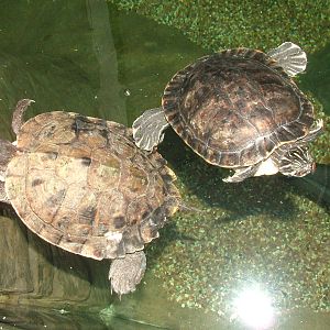 Landscaped area at Blue Reef Bristol 19/12/09