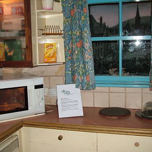 House Mouse exhibit at Bristol 19/12/09