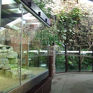 Reptile House interior at Bristol 19/12/09