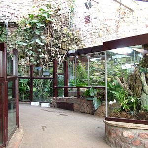 Reptile House interior at Bristol 19/12/09