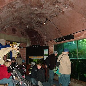 Aquarium interior at Bristol 19/12/09