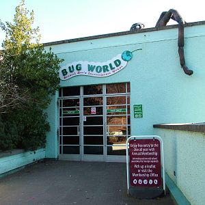 Bug World exterior at Bristol 19/12/09